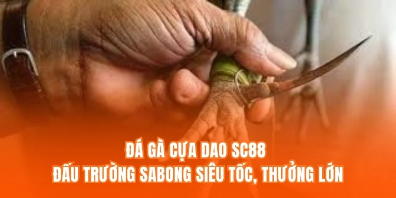 Đá Gà Cựa Dao SC88 - Đấu Trường Sabong Siêu Tốc, Thưởng Lớn