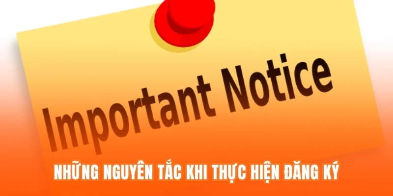 Những nguyên tắc khi thực hiện đăng ký