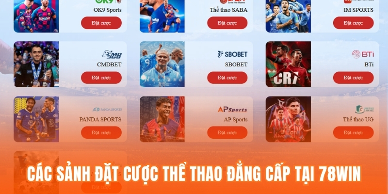 Các sảnh đặt cược thể thao đẳng cấp tại 78win