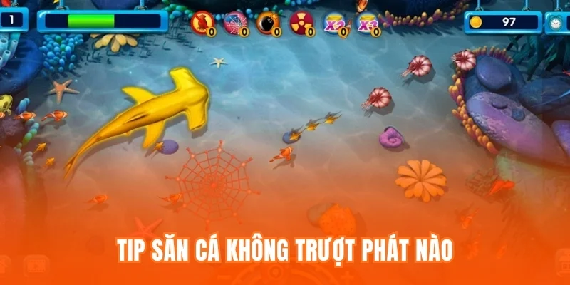 Tip săn cá không trượt phát nào